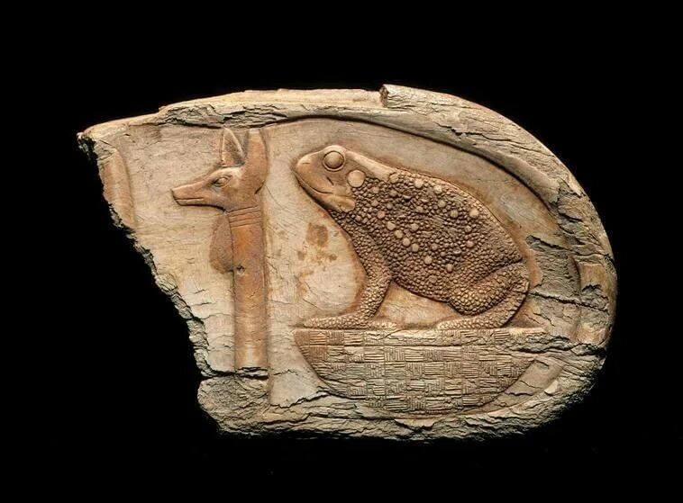 Eski Mısır Kurbağa Sembolü